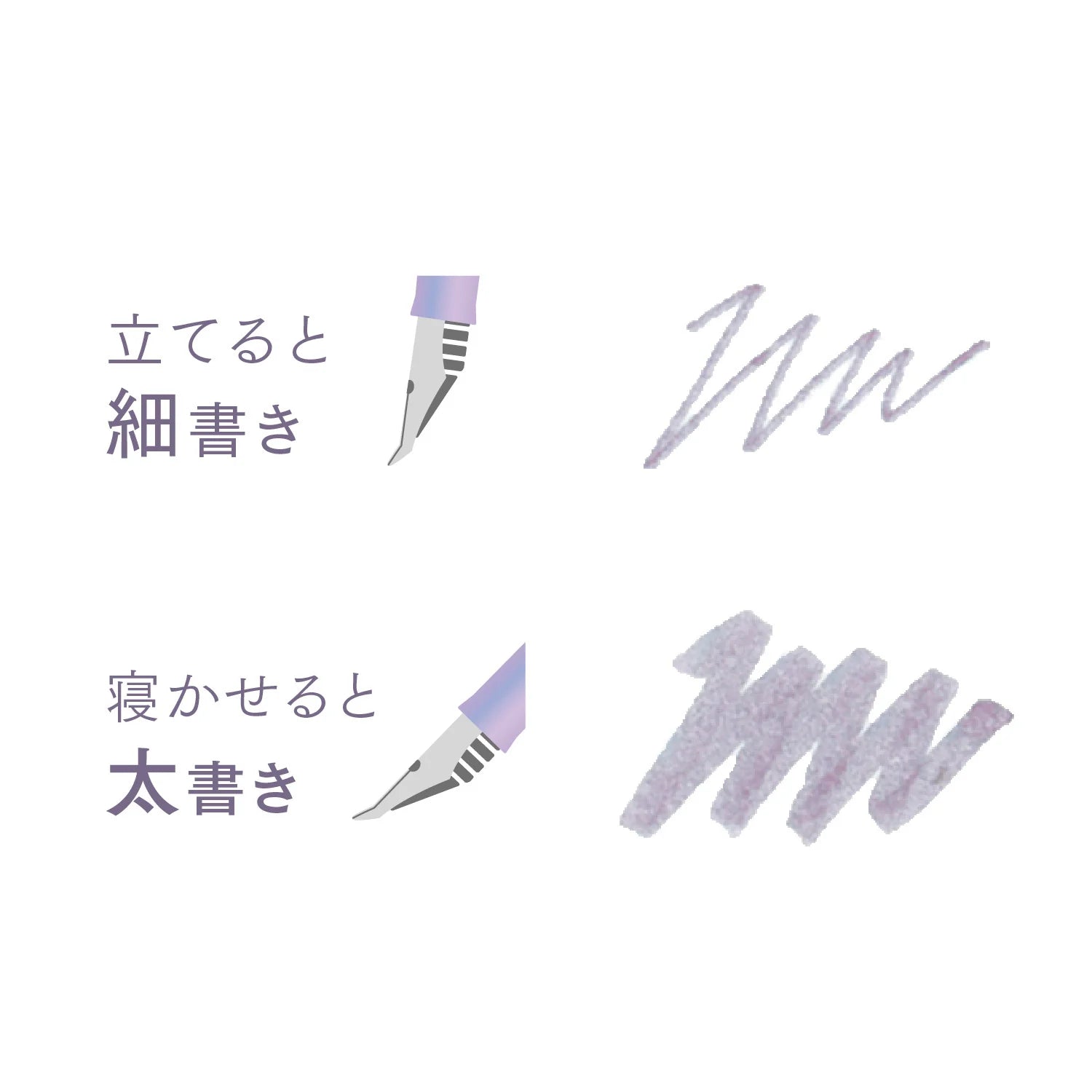 Sailor - Set Pluma Estilográfica + Tintero - PROFIT JR - Kangyou