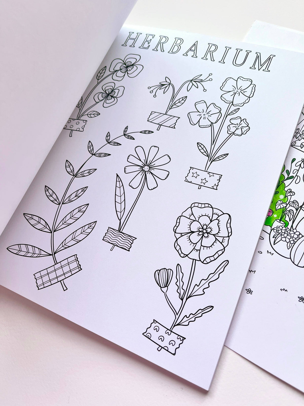 Nikki Dotti - Libro para colorear