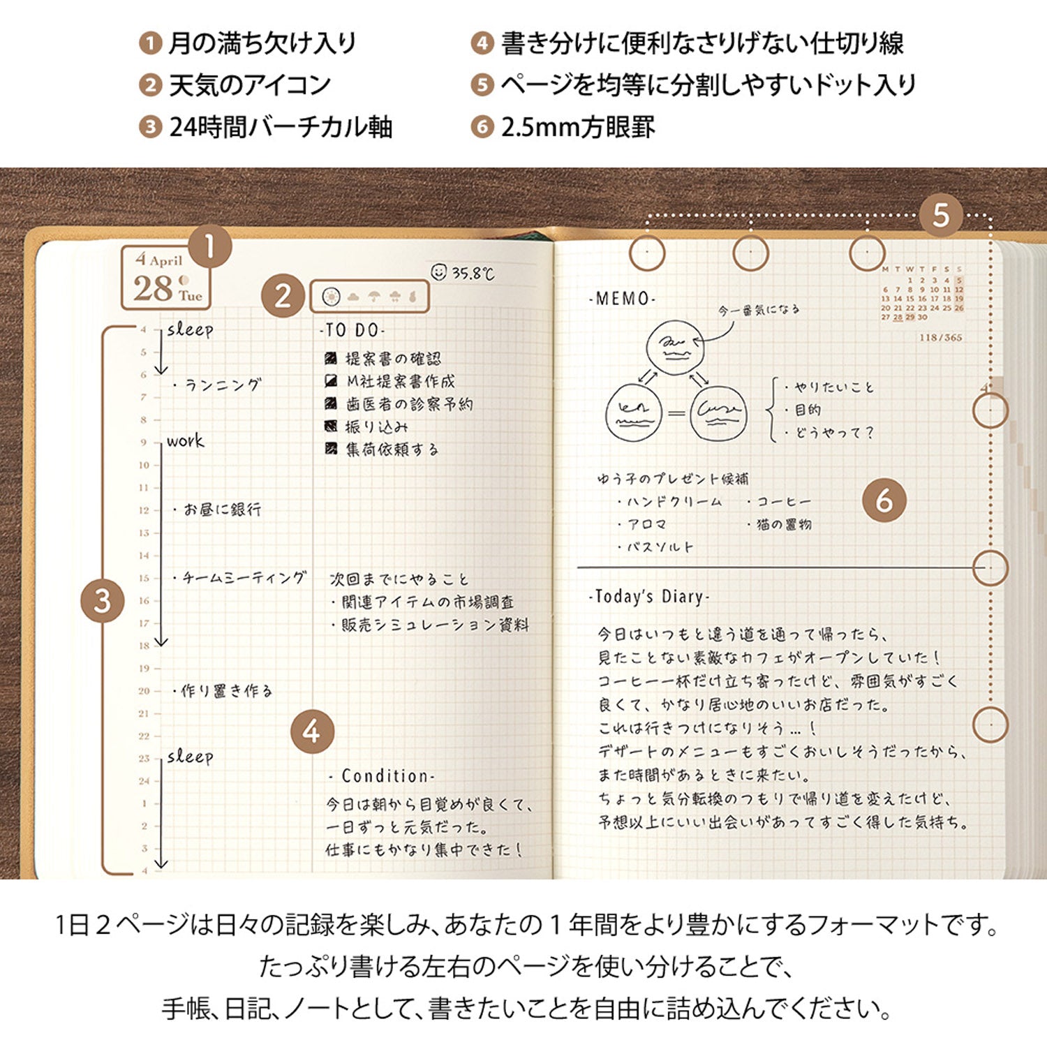 Midori - Agenda Diaria 2026 - Camel - Diary Hibino A6
