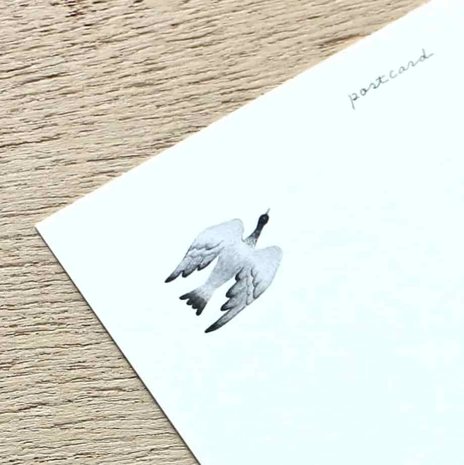 Cozyca Products - Bloc de 10 Postales - Birds