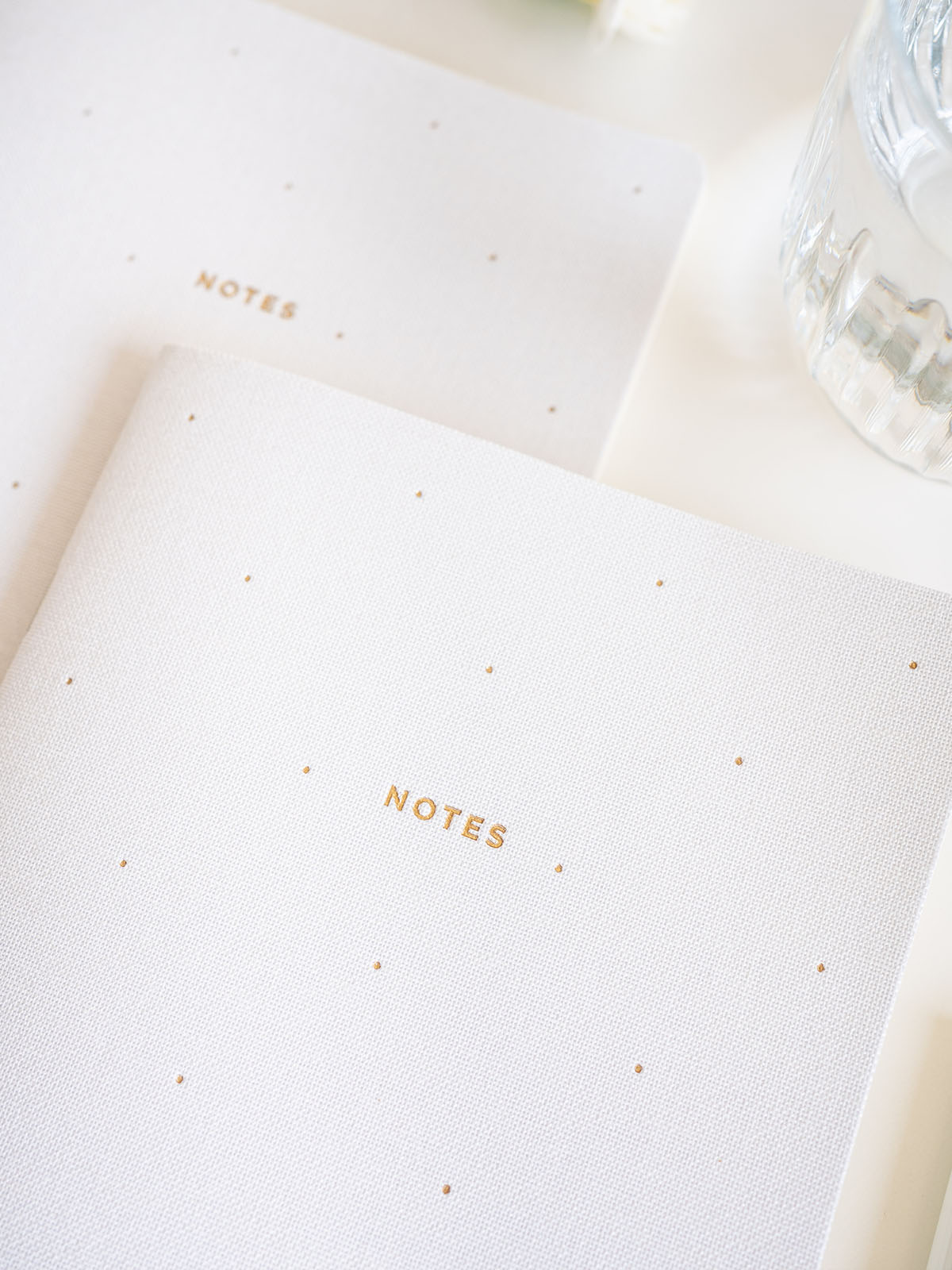 The Great Moustache - Pack de 2 Libretas Enteladas A5 - White Lotus Edition