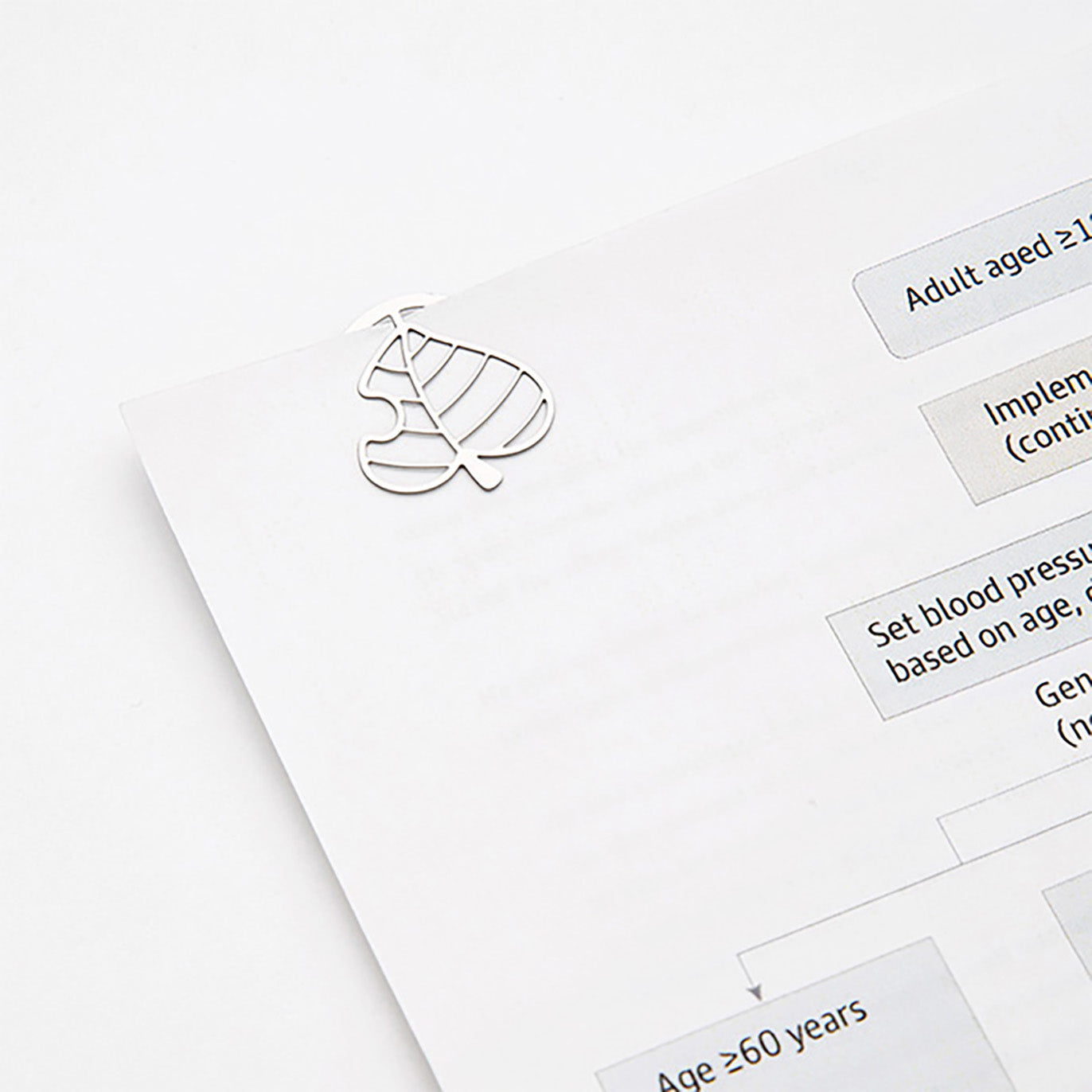 Midori - Set 16 clips acero grabados - Hojas