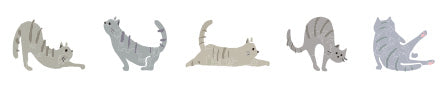 PLUS - Cinta decorativa 6 mm - Gato - DecoRush