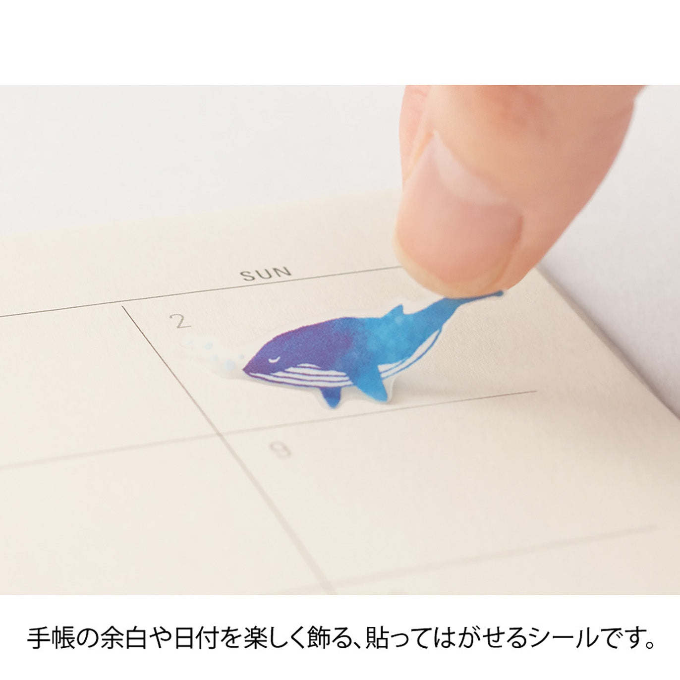 Midori - Pegatinas - Sticker Collection 2560 - Color Blue
