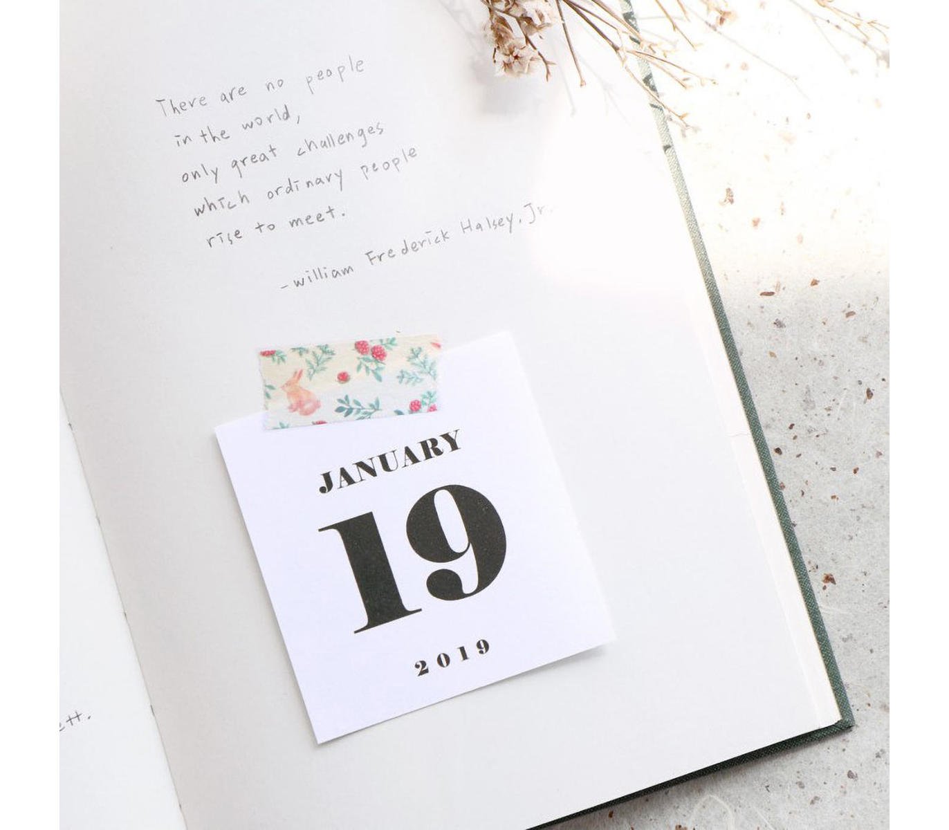 ICONIC - Washi tape - Masking tape 051 Rabbit