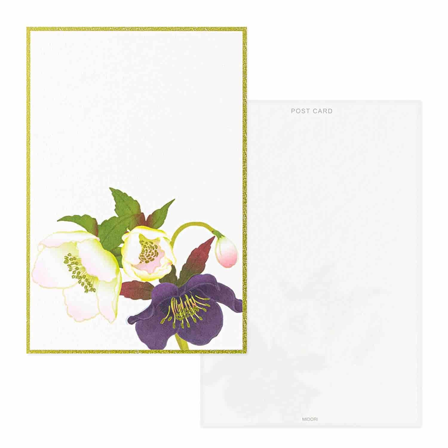 Midori - Bloc 6 Postales - Christmas Rose
