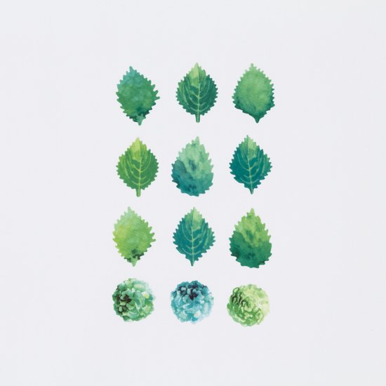 Bande - Pegatinas en rollo - Hojas