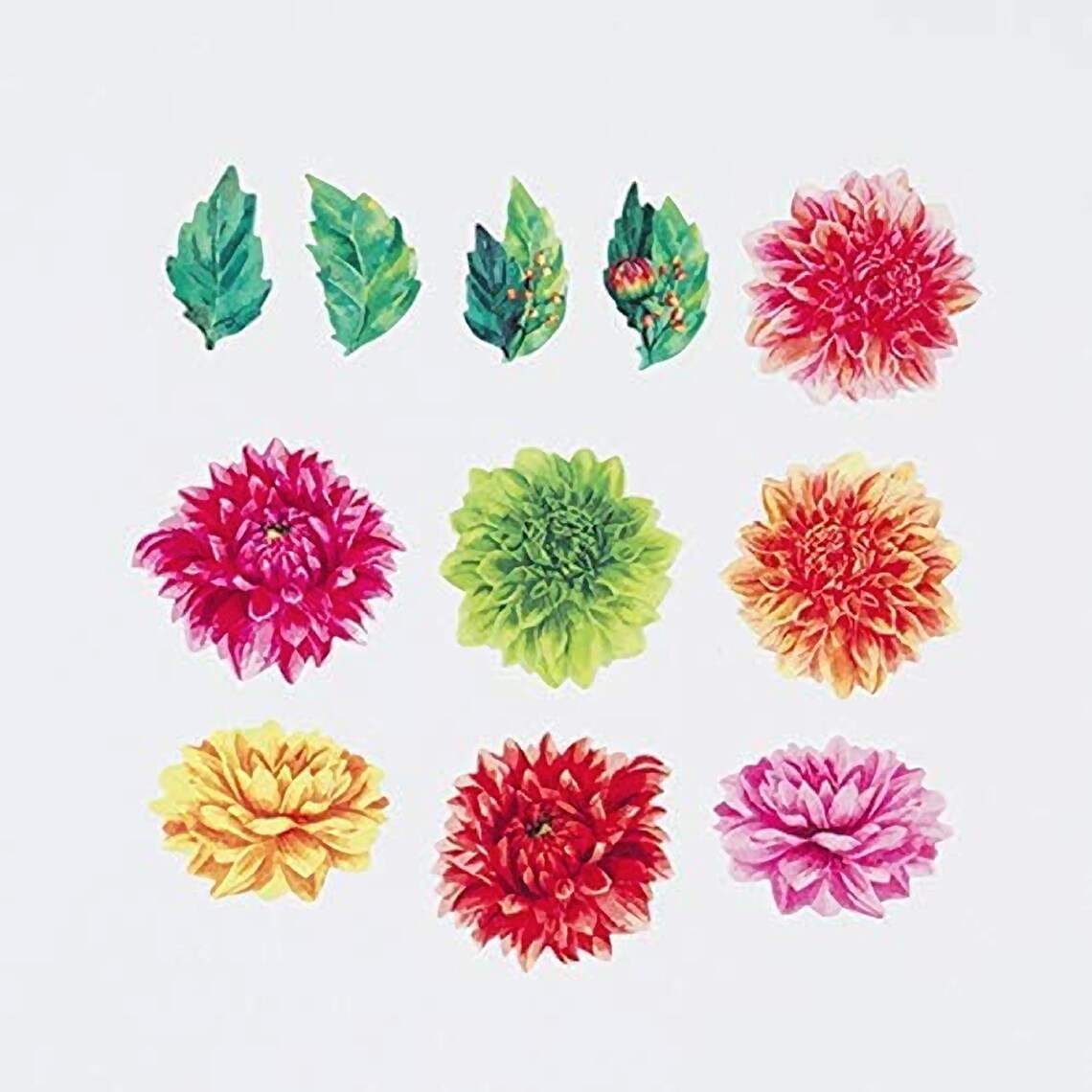 Bande - Pegatinas en rollo - Dalia