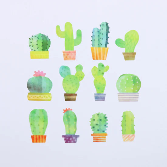 Bande - Pegatinas en rollo - Cactus