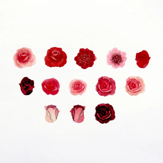 Bande - Pegatinas en rollo - Rosas