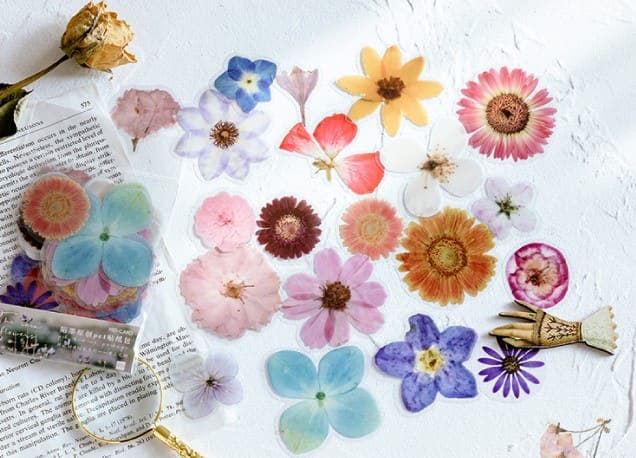 MO·CARD - Pegatinas transparentes - Flores variadas