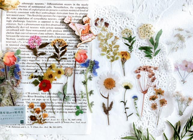 MO·CARD - Pegatinas transparentes - Flores de jardín