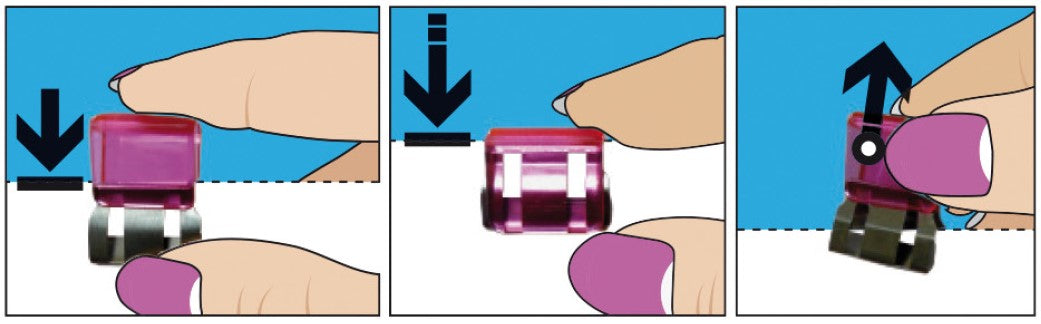 Divine Design - Clips XL 3 unidades - Colores variados