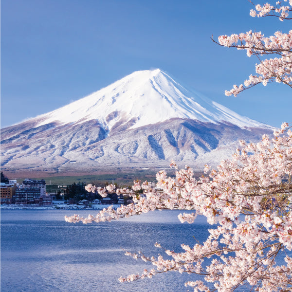 Teranishi - Tintero 12 ml FUJIYAMA IRODORI- Akane Red