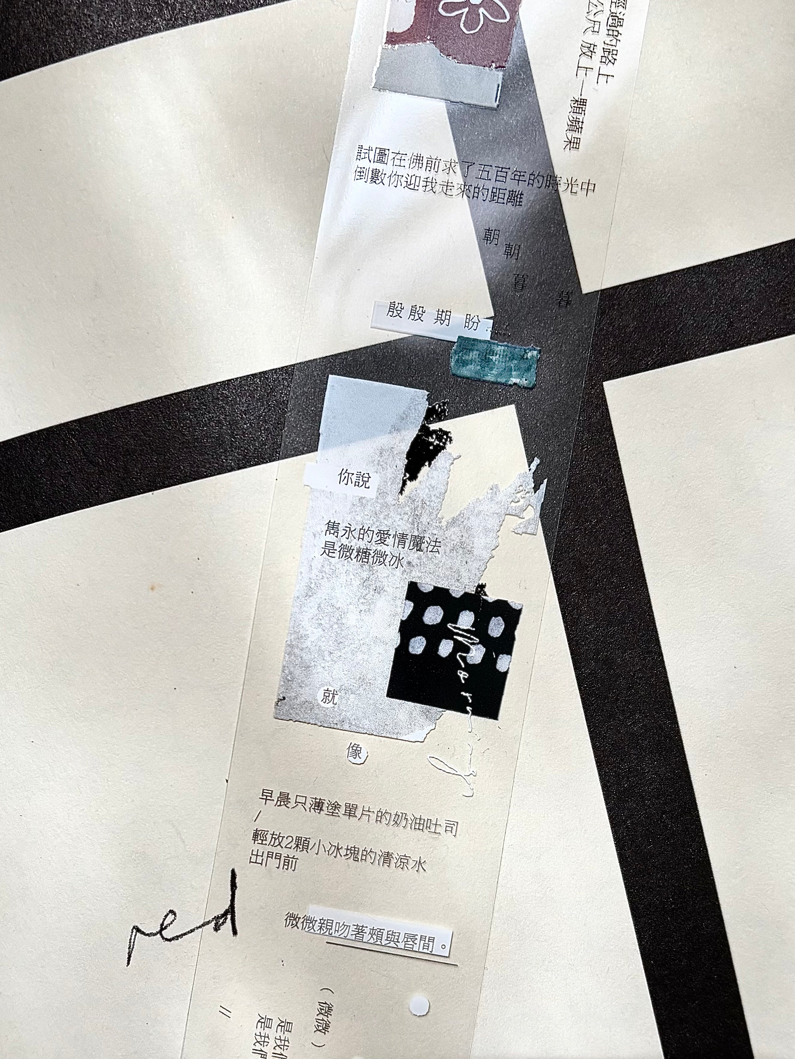 PION - PET Tape 35 mm - Glossy - Prose