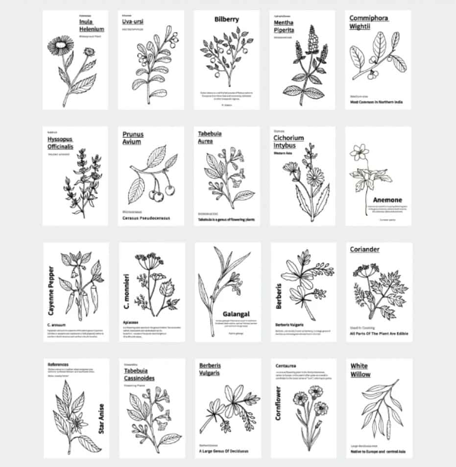 MO·CARD - Libro Pegatinas 50 ud- Black & White