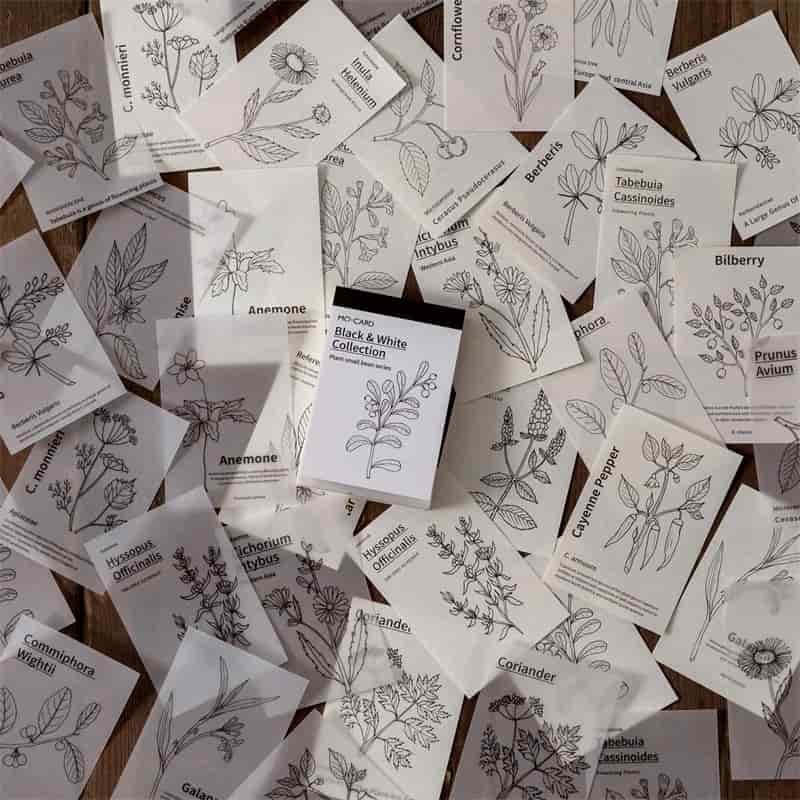 MO·CARD - Libro Pegatinas 50 ud- Black & White