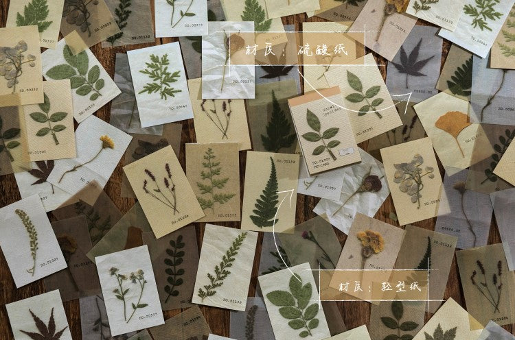 MO·CARD - Libro Pegatinas 50 ud- Hojas