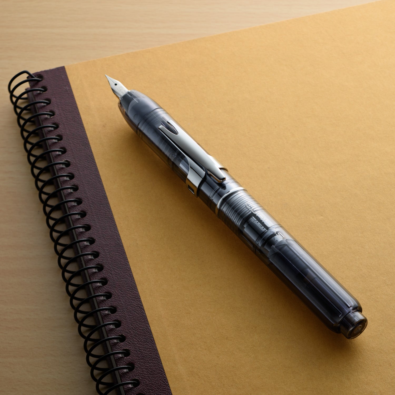 Platinum - Pluma Estilográfica Retráctil - Graphite Smoke - CURIDAS