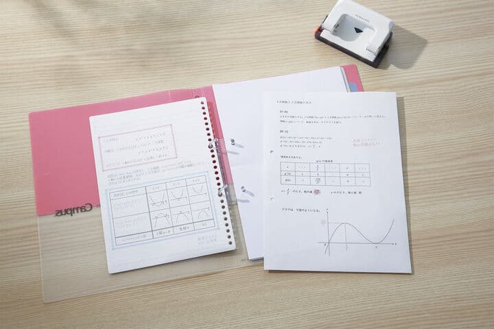 Kokuyo - Archivador 2 Anillas - A4 - Rosa