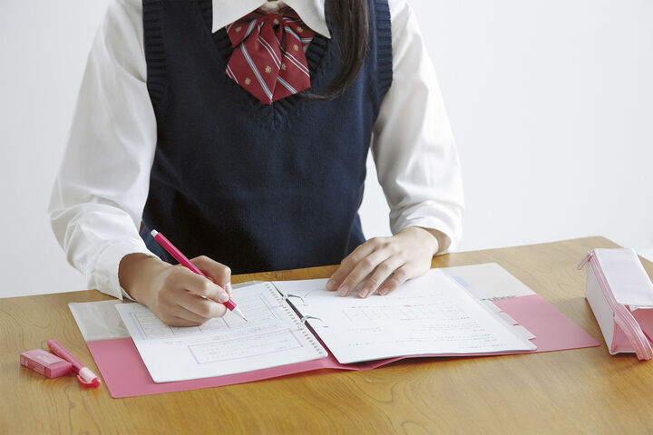 Kokuyo - Archivador 2 Anillas - A4 - Rosa