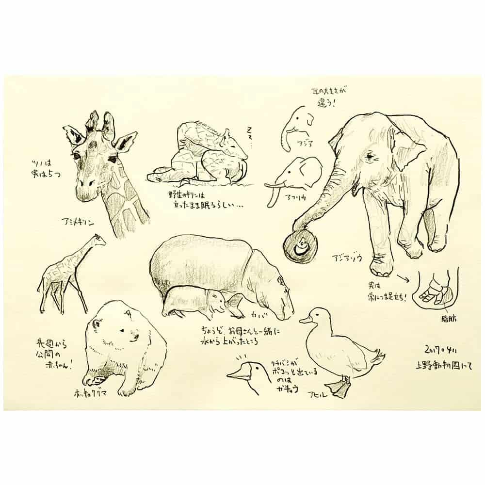 Maruman - Cuaderno Liso - Crema A4 - Croquis