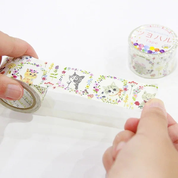 Shinzi Katoh - Cinta Kraft 27mm - Chaton