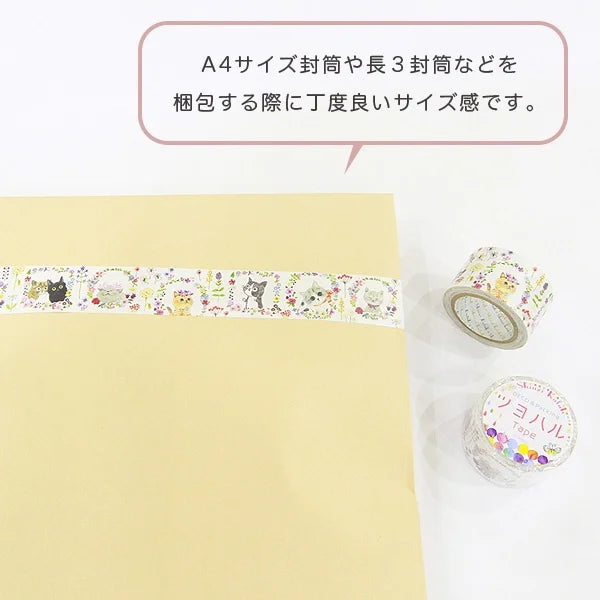 Shinzi Katoh - Cinta Kraft 27mm - Chaton