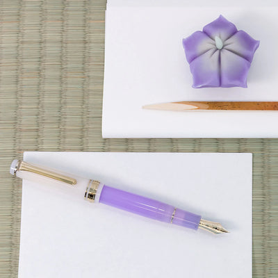 Sailor - Pluma Estilográfica Pro Gear Slim - ORO 14K - CHANOYU