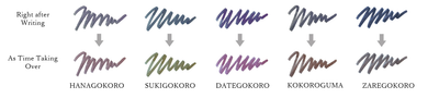 Sailor - Tintero 20 ml - HANAGOKORO - Tinta Yurameku Flickering