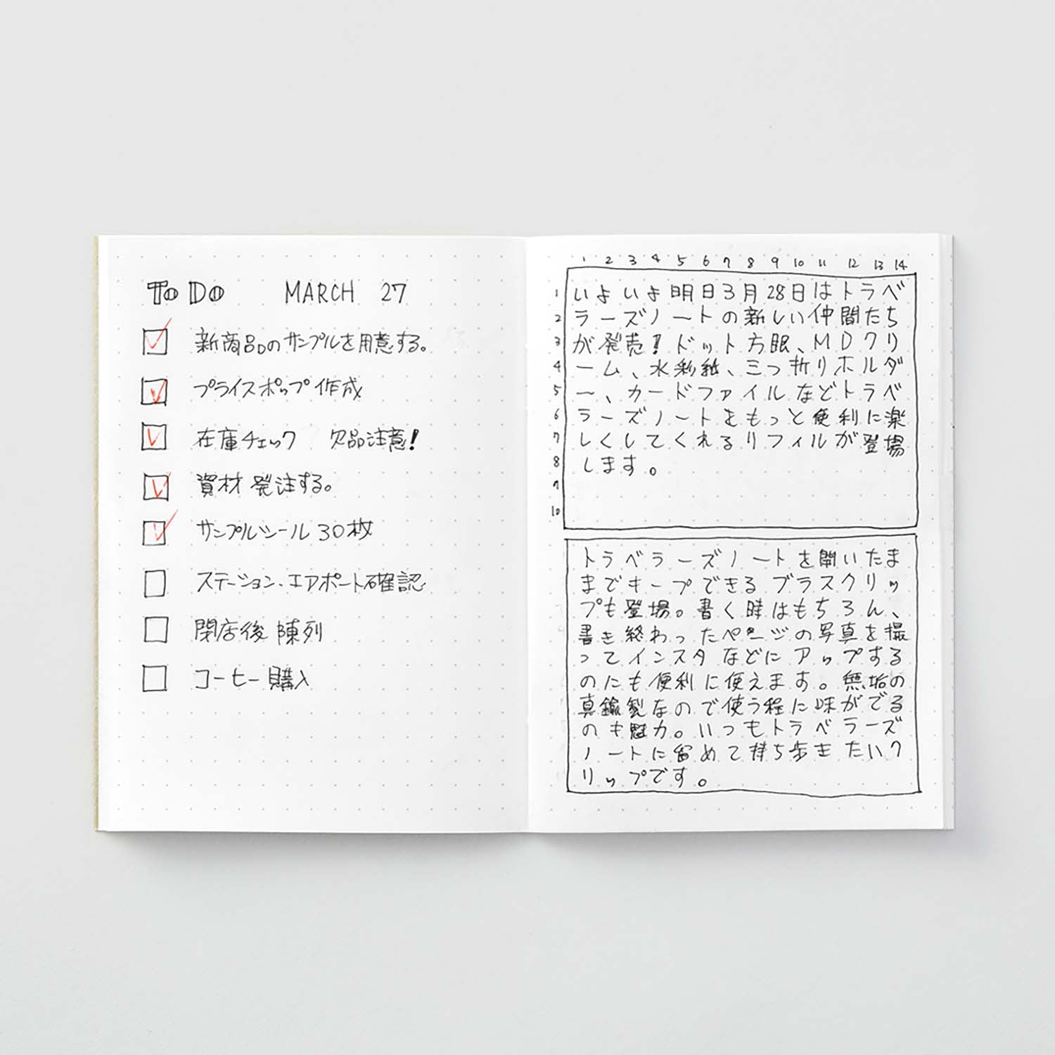 Traveler's Company - Recambio PASSPORT 014 - Dot Grid