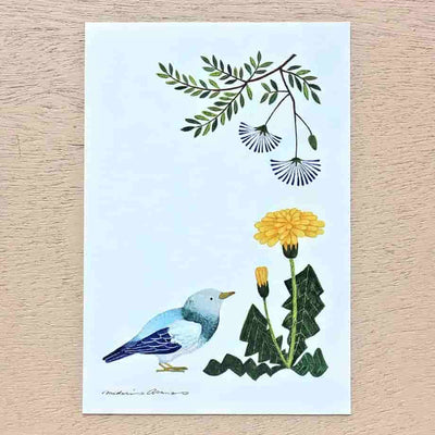 Cozyca Products - Bloc de 10 Postales - Birds