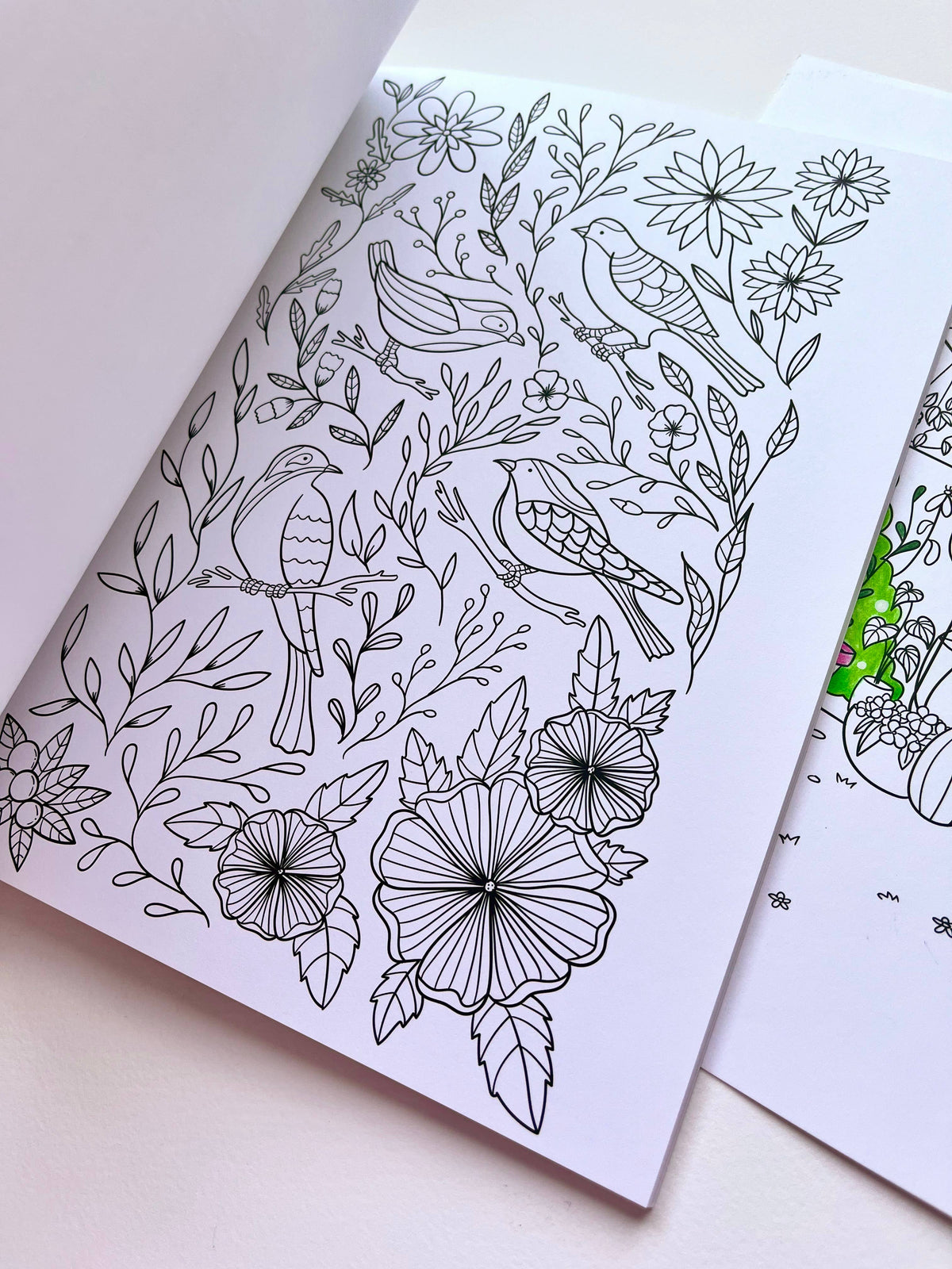 Nikki Dotti - Libro para colorear