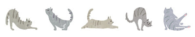 PLUS - Cinta decorativa 6 mm - Gato - DecoRush