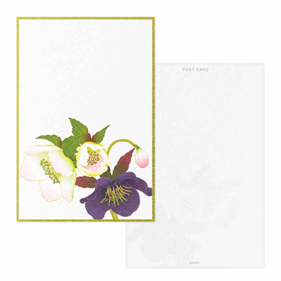 Midori - Bloc 6 Postales - Christmas Rose