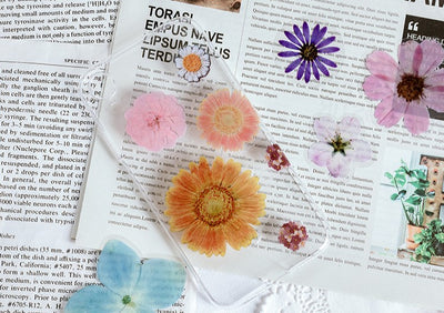 MO·CARD - Pegatinas transparentes - Flores variadas