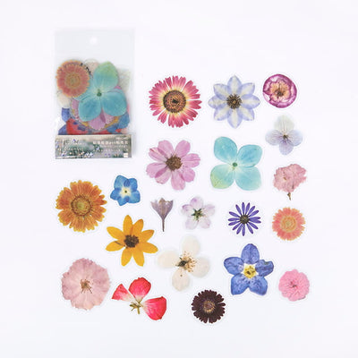 MO·CARD - Pegatinas transparentes - Flores variadas