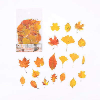 MO·CARD - Pegatinas transparentes - Hojas de otoño