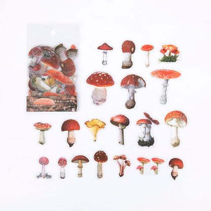 MO·CARD - Pegatinas transparentes - Recogida de setas