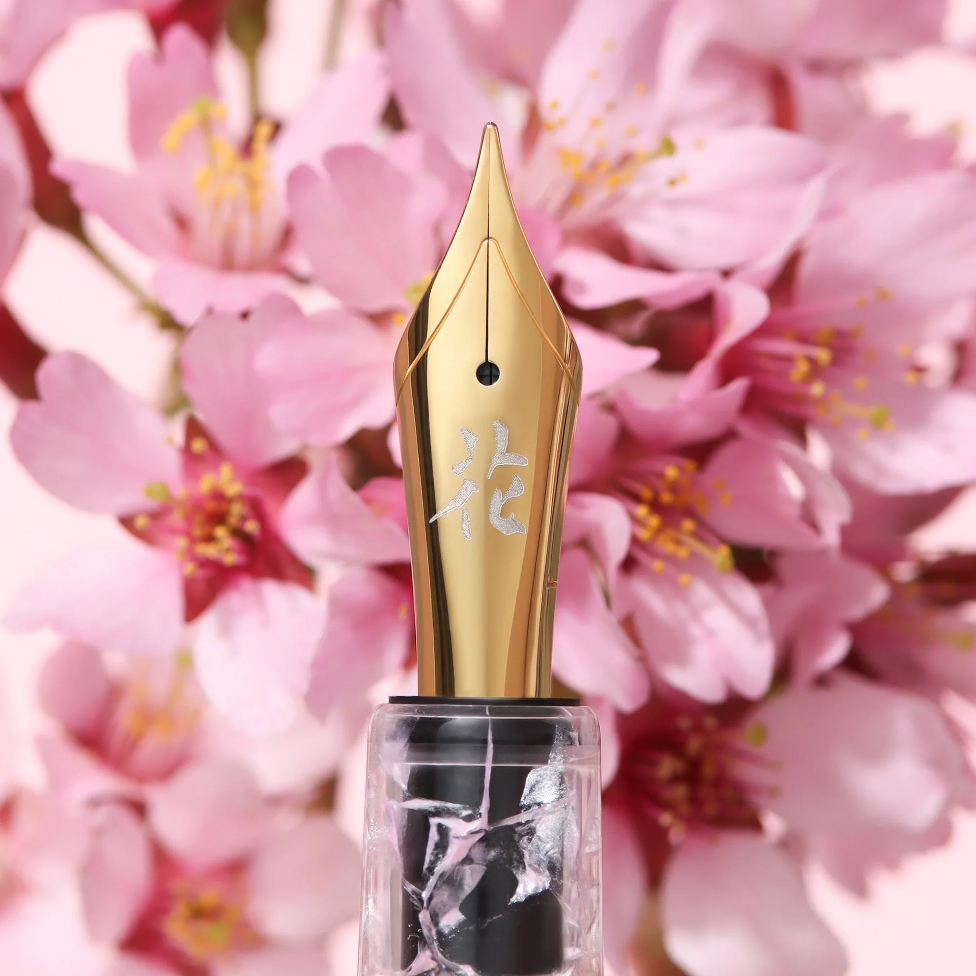 EsterBrook x BUNGUBOX - Pluma Estilográfica - ESTIE Cherry Blossom Edition