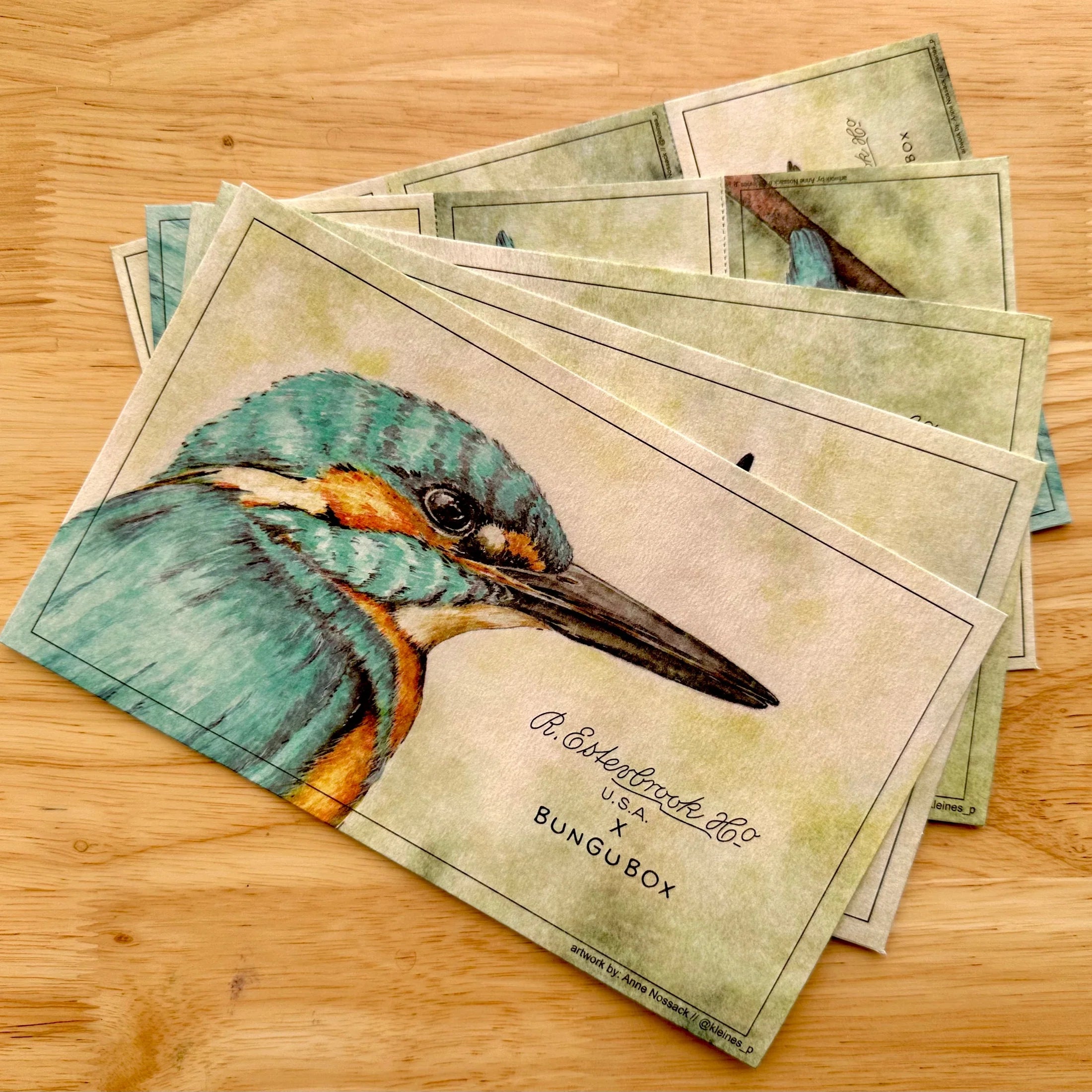 EsterBrook x BUNGUBOX - Papel Secante - Kingfisher Edition Blotter Paper
