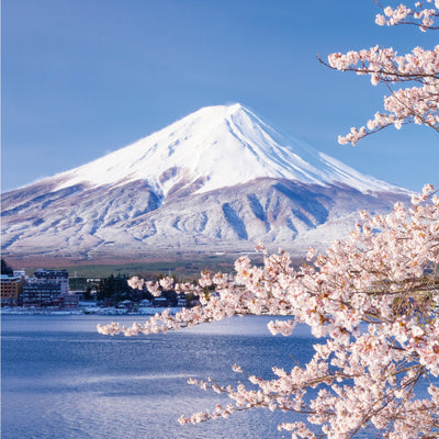 Teranishi - Tintero 12 ml FUJIYAMA IRODORI- Akane Red