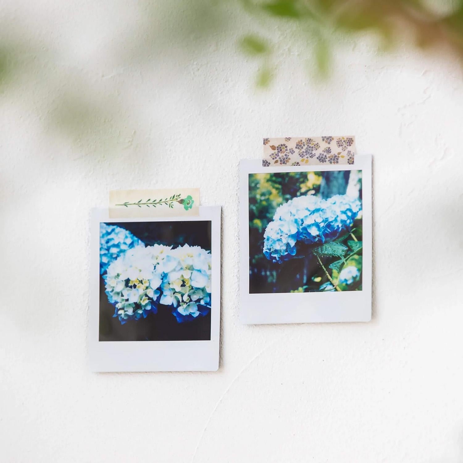 King Jim - Washi Tape Precortado - Flower 4 KITTA