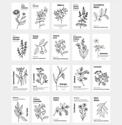 MO·CARD - Libro Pegatinas 50 ud- Black & White