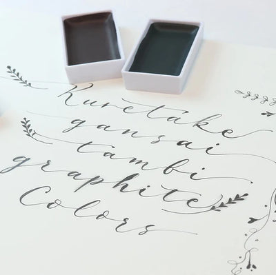 Kuretake - Set de Acuarelas GANSAI TAMBI - Graphite Colors