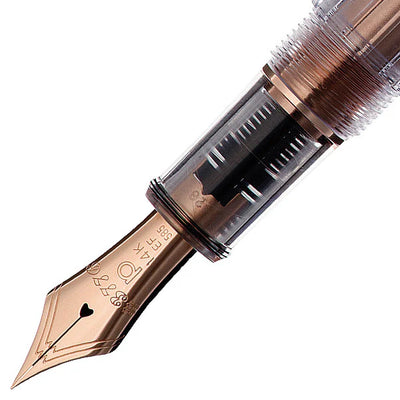 Platinum - Pluma Estilográfica - #3776 CENTURY - Resina y oro rosa