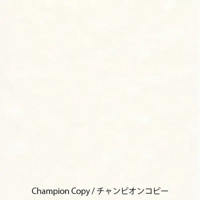 Yamamoto Paper - Cata de papeles - Pen Friendly Onionskin Vol.1