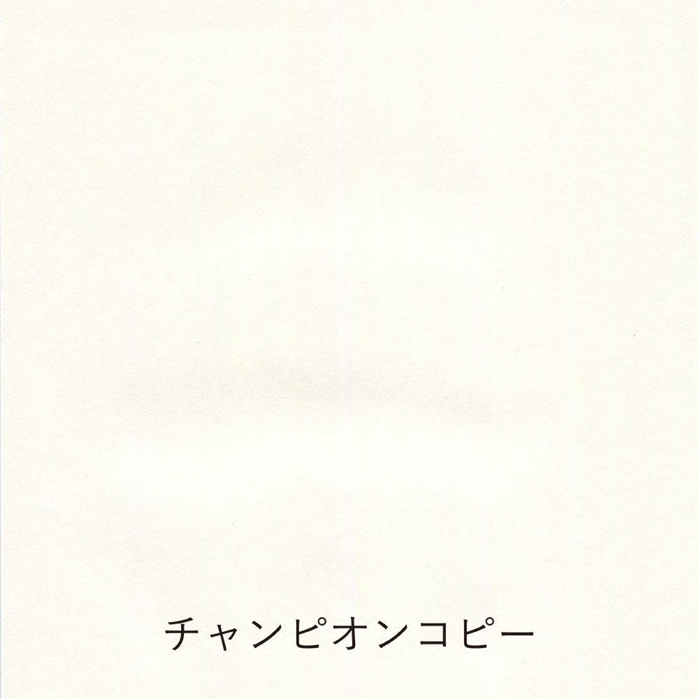 Yamamoto Paper - Cata de papeles - Pen Friendly Onionskin Vol.2