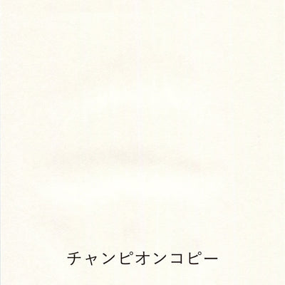 Yamamoto Paper - Cata de papeles - Pen Friendly Onionskin Vol.2
