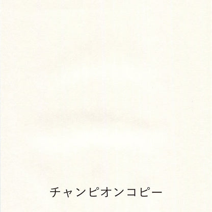Yamamoto Paper - Cata de papeles - Pen Friendly Onionskin Vol.2